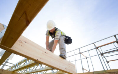 Tradesmen in Market Research: Shaping the Future of the Building and Construction Industry