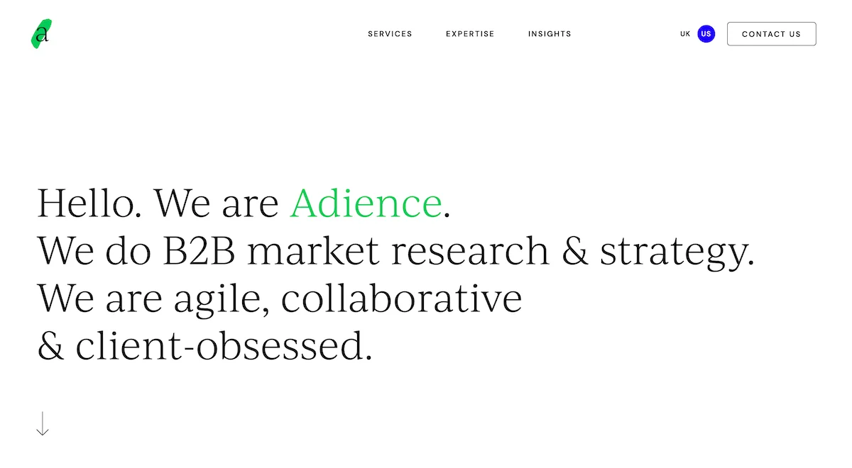 B2B market research company Adience's website