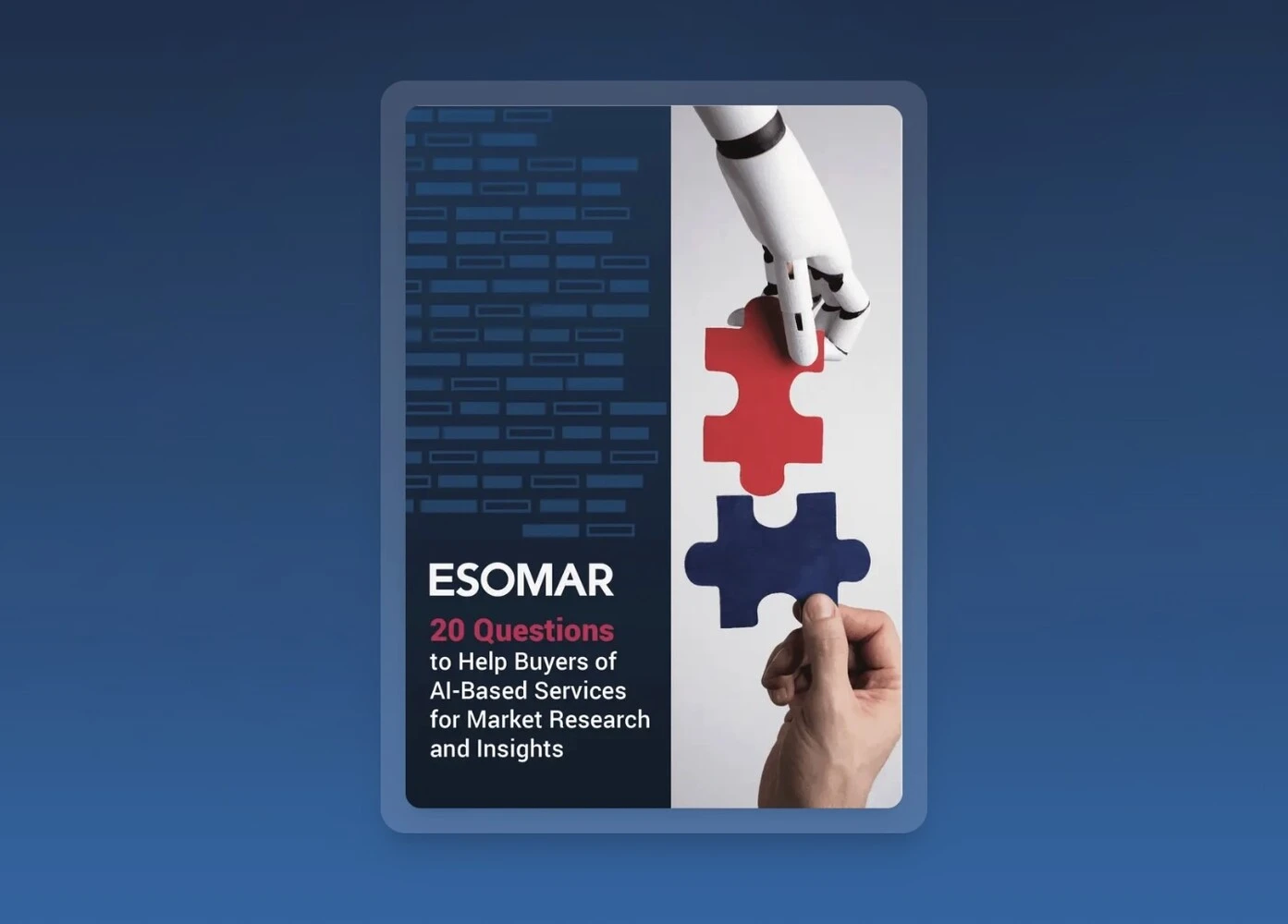 A mockup of the ESOMAR booklet.